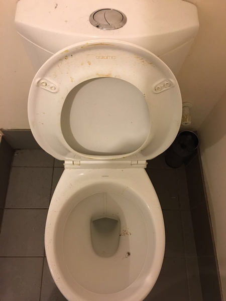 toilet before 2