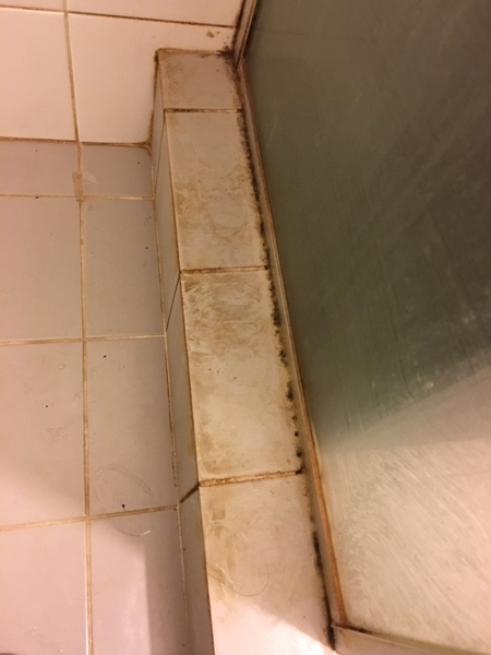 bathroom before 1