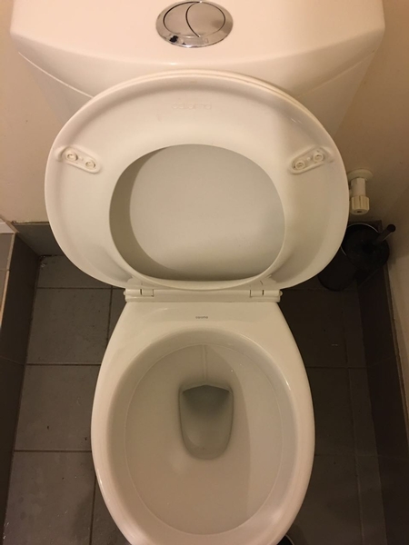 toilet after 2