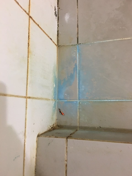 bathroom before 3