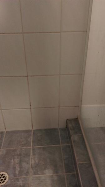 Shower Clean in Hilbert - Before