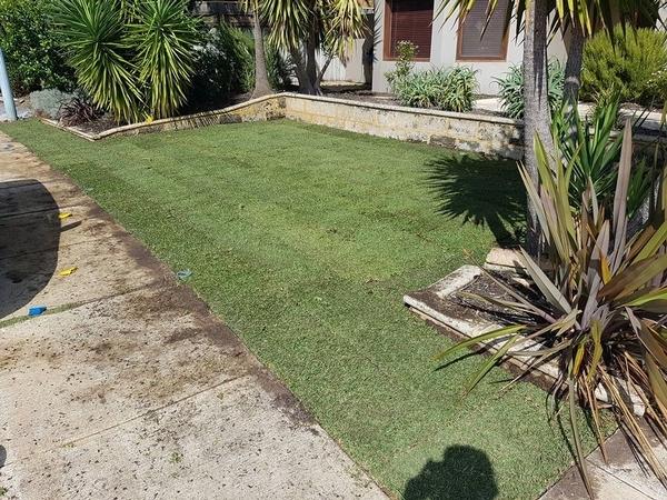 New lawn laid in Floreat