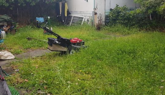 Lawn Clean up in Nedlands (before)