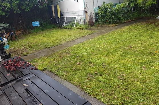 Lawn clean up in Nedlands (after)