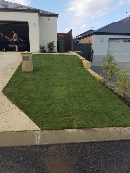 The Winsdor green Couch lawn has been laid an compacted to give the front garden the finishing touches in Banksia Grove