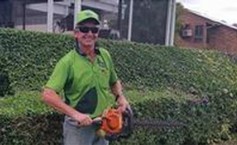 Hedge trimming - I can help keep your hedges looking their best!
