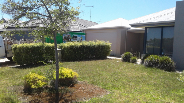 207 before - lawn mowing in Halls Head