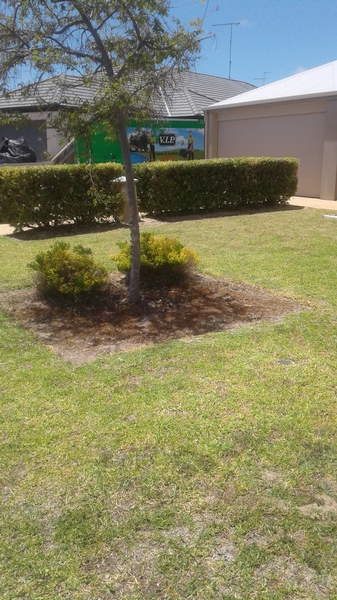 207 after - Lawn mowing in Halls Head - Much neater!