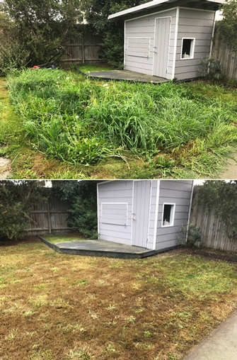 Lawn mowing in Clyde - before & after
