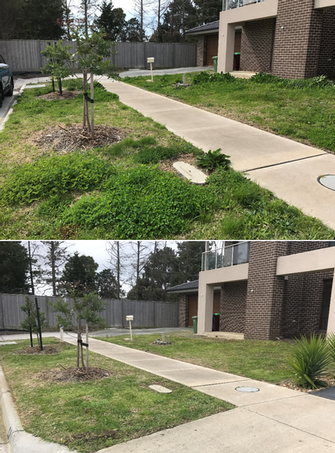 Lawn mowing in Junction Village - before and after