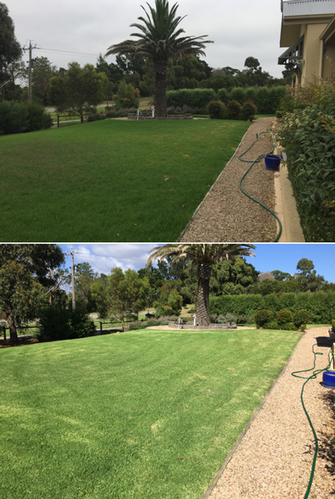 Lawn Mowing in Cranbourne - before & after