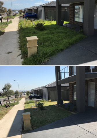 Lawn mowing in Botanic Ridge - before & after