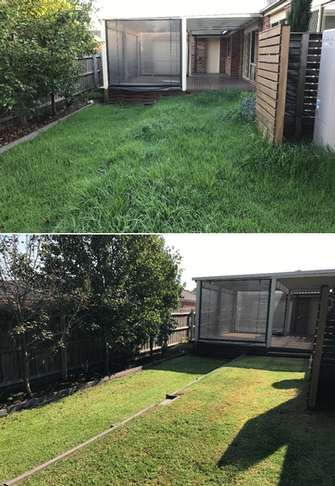 Lawn mowing - before & after - How much tidier does this look, once it&#39;s been cut?