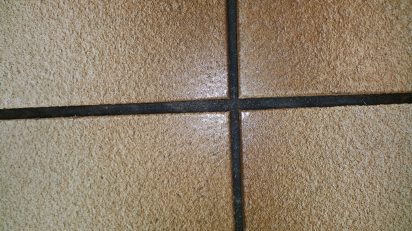 Before Shot - Grout Clean Victoria Park