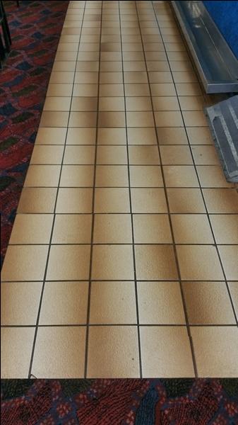 Before Shot - Grout Clean Victoria Park