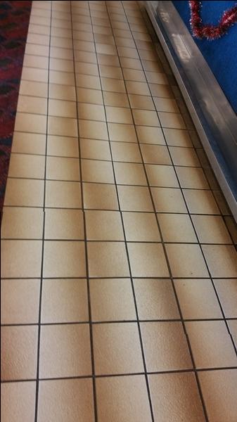 Before Shot - Grout Clean Victoria Park