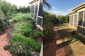 Garden tidy in Caroline Springs - before & after - What a difference a garden&nbsp;tidy has made. Who would have known there was a path under all that overgrown vegetation!