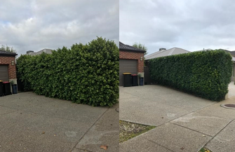 Hedging in Caroline Springs - before & after - Looking a lot better now. Some regular maintenance will keep this hedge looking this neat all year round.