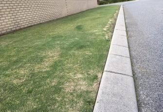 Edging in Gosnells - The difference between a good edge and a bad edge. Can you see where my edge starts and stops?
Another contractor just whips the edge right down against the kerb to avoid having to take his edger off the trailer, really poor.