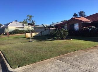 New lawn mowing client in Thornlie, great looking lawn.