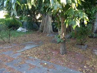 Before - Removing leaves from a backyard in Gosnells