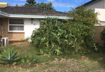 Before - Cactus removal in Riverton