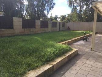 Before 1 of 5 - Lawn mowing and edging in Thornlie