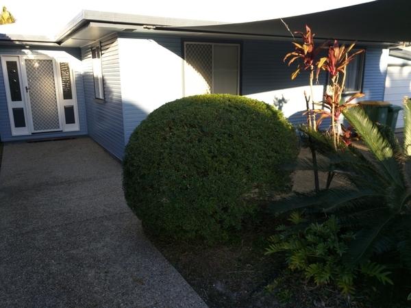 Hedge trimming in Caloundra