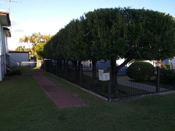 Hedge trimming & lawn mowing in Caloundra - Along with this hedge trimming job, I have picked up a regular lawn mowing job next door.