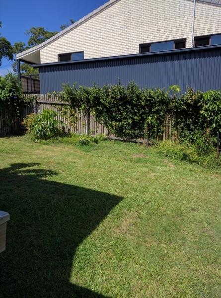 Before - Garden tidy in Maroochydore