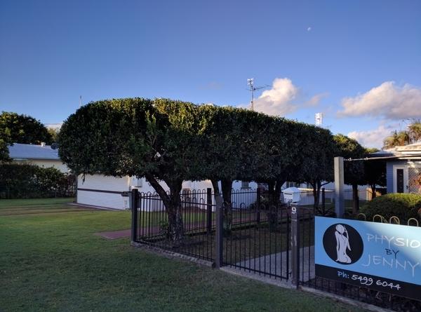Hedge trimming in Caloundra - This is a 4 metre high hedge which I did for a client in Caloundra and is now a regular job.&nbsp;