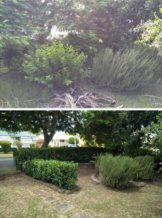 Before and After of Gardening in Manly - Check out this before and after and the transformation I have made. Looks like a proper front garden now.&nbsp;