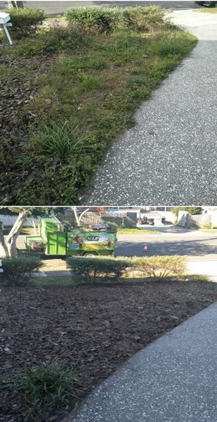 Garden Makeover in Lota - before & after