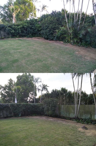 Garden tidy in Birkdale - before & after - Some hedging and thinning out of plant growth has given this garden bed a lot more structure.&nbsp;