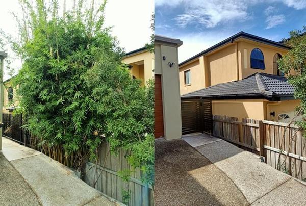 Bamboo removal - before & after - What a difference!