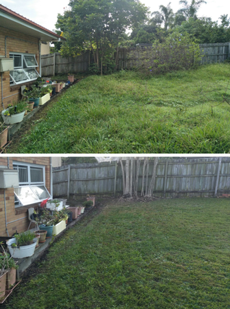 Lawn mowing in Holland Park - before & after