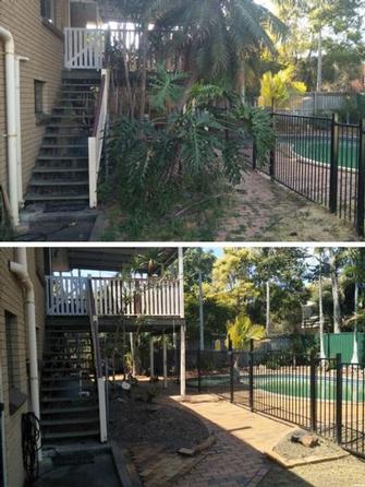 Garden & tree clean up in Manly - before & after