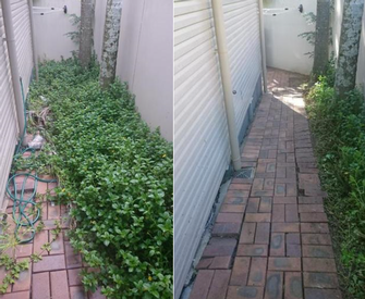 Pathway tidy before & after in Carindale - Very overgrown plants which limits access down this path.

Definitely looks more like a path now!