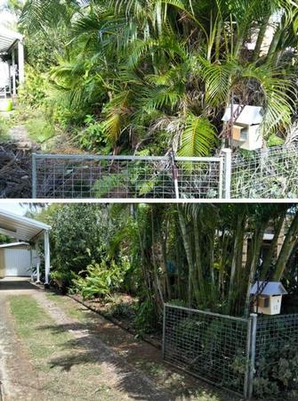 Before and After of Garden Clean up in Manly - Check out another garden transformation. Looks much tidier and the driveway is clearly usable now.