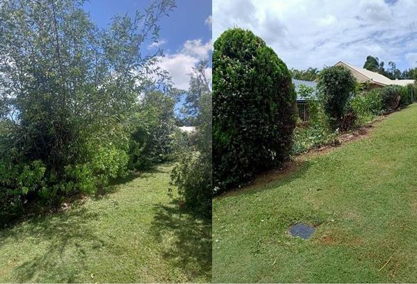 Wynnum garden tidy - before & after