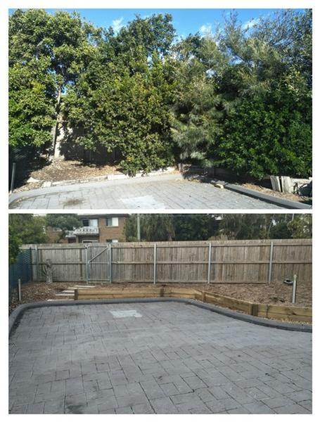 Tree removal in Manly - before & after
