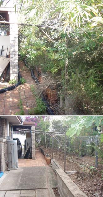 Garden tidy in Carindale - before & after