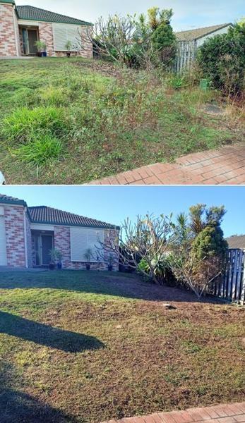 Lawn mowing & weeding in Waverley - before & after