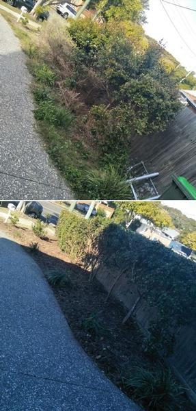 Garden Makeover in Lota - before & after