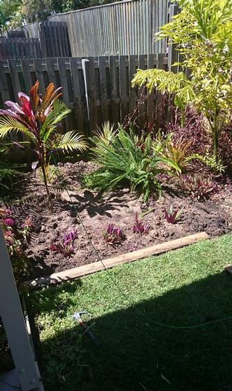 During - Garden makeover in Carindale - Now the plants are in, this area&nbsp;is looking greatly improved already.