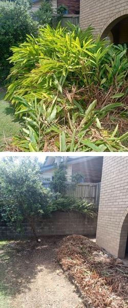 Garden tidy Mansfield - before & after