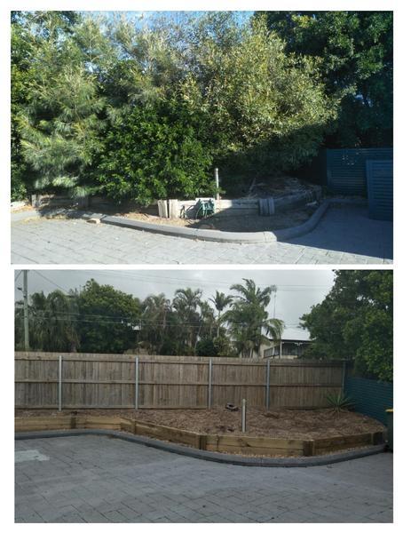 Tree removal in Manly - before & after