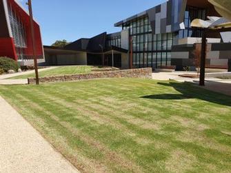 Council Chambers & local entertainment hub of Margaret River - Another picture of lawn area that we dethatched to get ready for Winter to minimise the chance of disease.&nbsp;