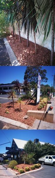 Commercial Garden Tidy AFTER - We do commercial properties! This series features the after shots of a commercial premises on the main street of Margaret River.