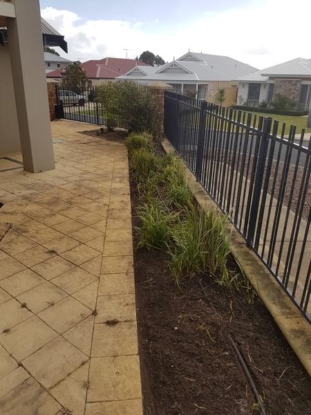 After - Garden Tidy in Dunsborough - What a difference, much neater now.&nbsp;